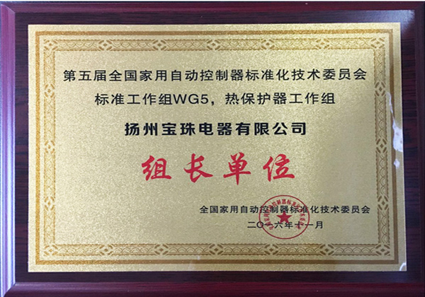 Yangzhou Baozhu Electric Co., Ltd. Thermal Protector Work Team Leader Unit